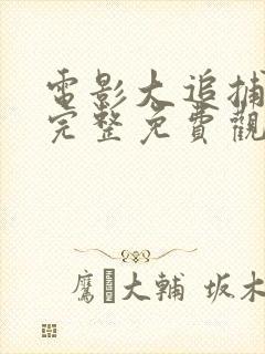 电影大追捕在线完整免费观看国语