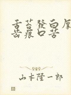 舌苔发白厚腻有齿痕口苦