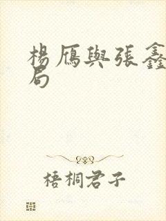 杨雁与张鑫的结局