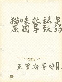 猫咪拉稀是什么原因导致的