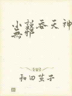 小说吞天神鼎柳无邪