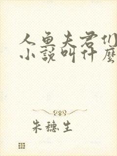 人鱼夫君们原著小说叫什么名字封面