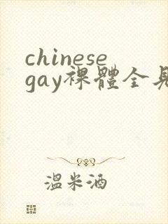 chinesegay裸体全见