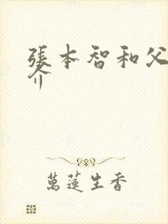 张本智和父亲简介封面