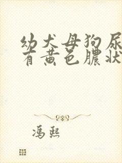 幼犬母狗尿道口有黄色脓状分泌物