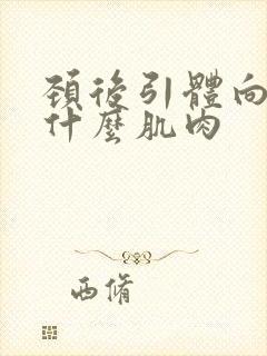 颈后引体向上练什么肌肉封面