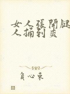 女人张开腿让男人捅到爽封面