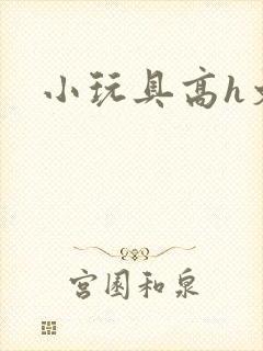 小玩具高h文
