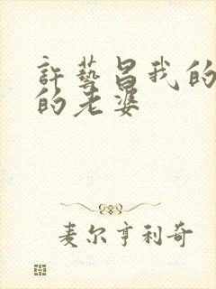 许艺昌我的朋友的老婆封面