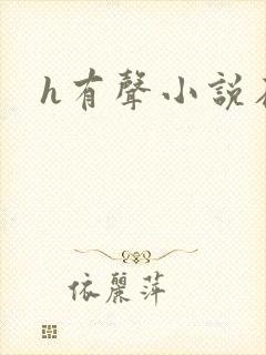 h有声小说在线封面