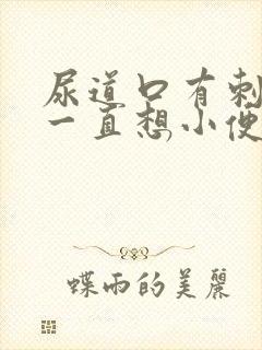 尿道口有刺痛感一直想小便