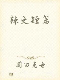辣文短篇封面