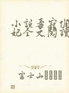 小说毒宠佣兵王妃全文阅读封面