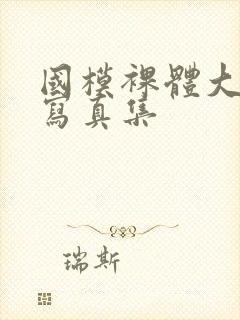 国模裸体大尺度写真集