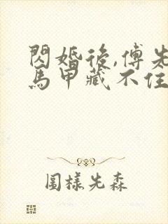 闪婚后,傅先生马甲藏不住第二部