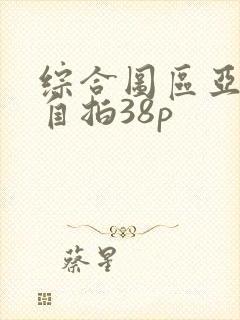 综合图区亚洲偷自拍38p