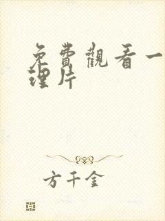 免费观看一级伦理片