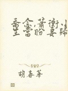 乔念,萧衡小说生当盼妻归封面