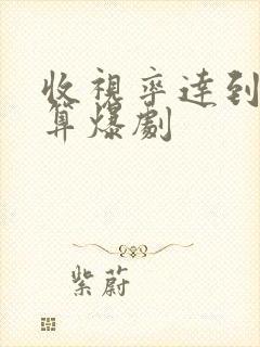 收视率达到多少算爆剧