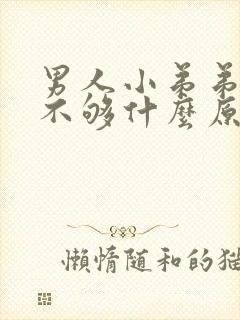 男人小弟弟硬度不够什么原因封面