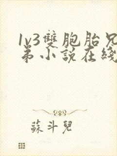 1v3双胞胎兄弟小说在线阅读