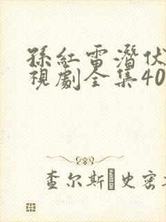 孙红雷潜伏者电视剧全集40集,免费观看