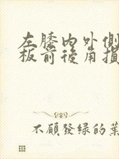 左膝内外侧半月板前后角损伤2级