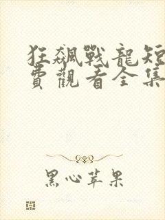 狂飙战龙短剧免费观看全集