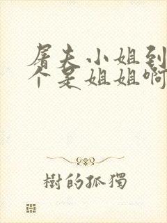 屠夫小姐到底哪个是姐姐啊