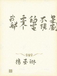 我要的不是雪是哪个电视剧主题曲