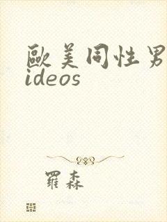 欧美同性男男videos