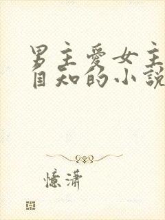 男主爱女主而不自知的小说