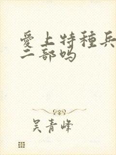 爱上特种兵有第二部吗封面