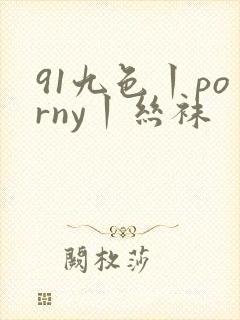91九色丨porny丨丝袜封面
