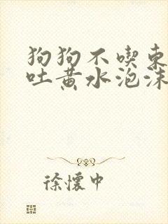 狗狗不吃东西呕吐黄水泡沫粘液