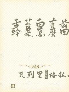 舌苔白有齿痕口干是怎么回事