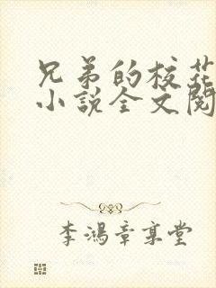 兄弟的校花女友小说全文阅读