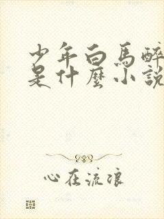 少年白马醉春风是什么小说改编的