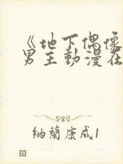 《地下偶像》双男主动漫在线