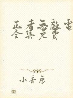 正者无敌电视剧全集免费