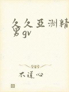 久久亚洲精品男男gv