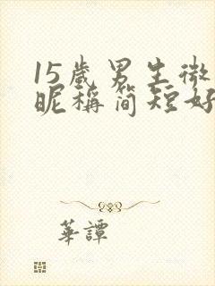 15岁男生微信昵称简短好听