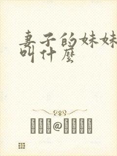 妻子的妹妹丈夫叫什么封面