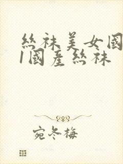 丝袜美女国产91国产丝袜