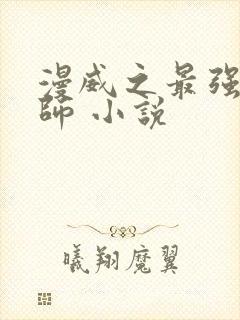 漫威之最强召唤师 小说