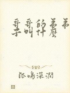 哥哥的弟弟的儿子叫什么