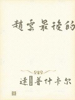 赵云最后的结局封面