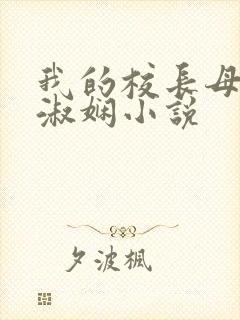 我的校长母亲陈淑娴小说封面