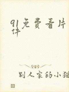 91免费看片软件