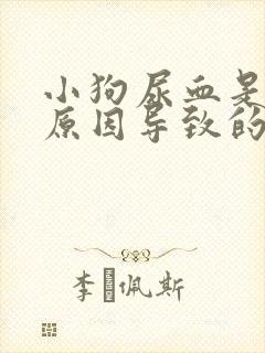 小狗尿血是什么原因导致的